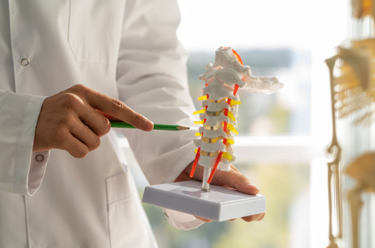 Spine Disorder Management